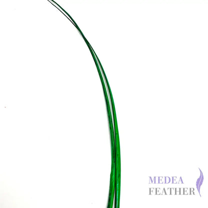 Stripped Ostrich Quill Feather ready-to-ship