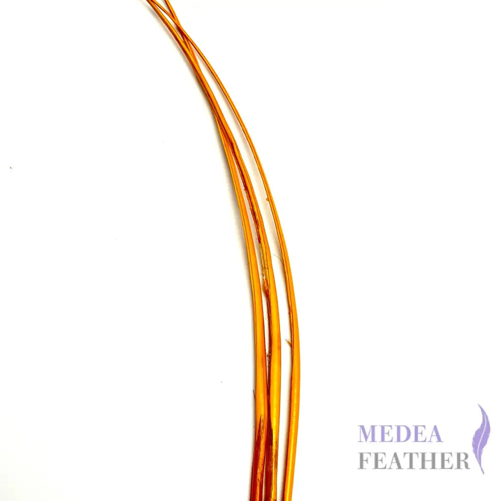 Stripped Ostrich Quill Feather ready-to-ship
