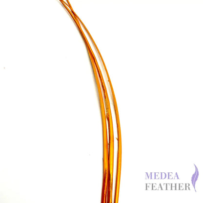 Stripped Ostrich Quill Feather ready-to-ship