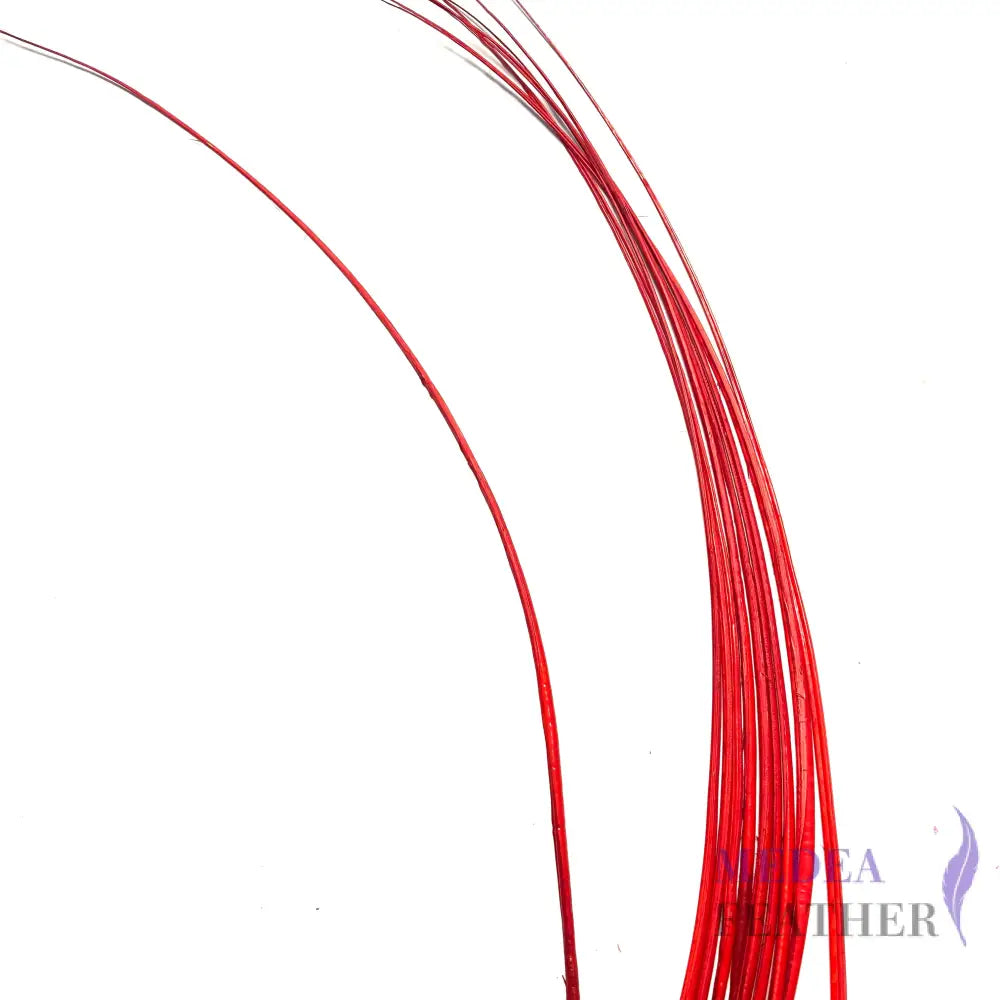 Stripped Ostrich Quill Feather Red / 1 piece ready-to-ship