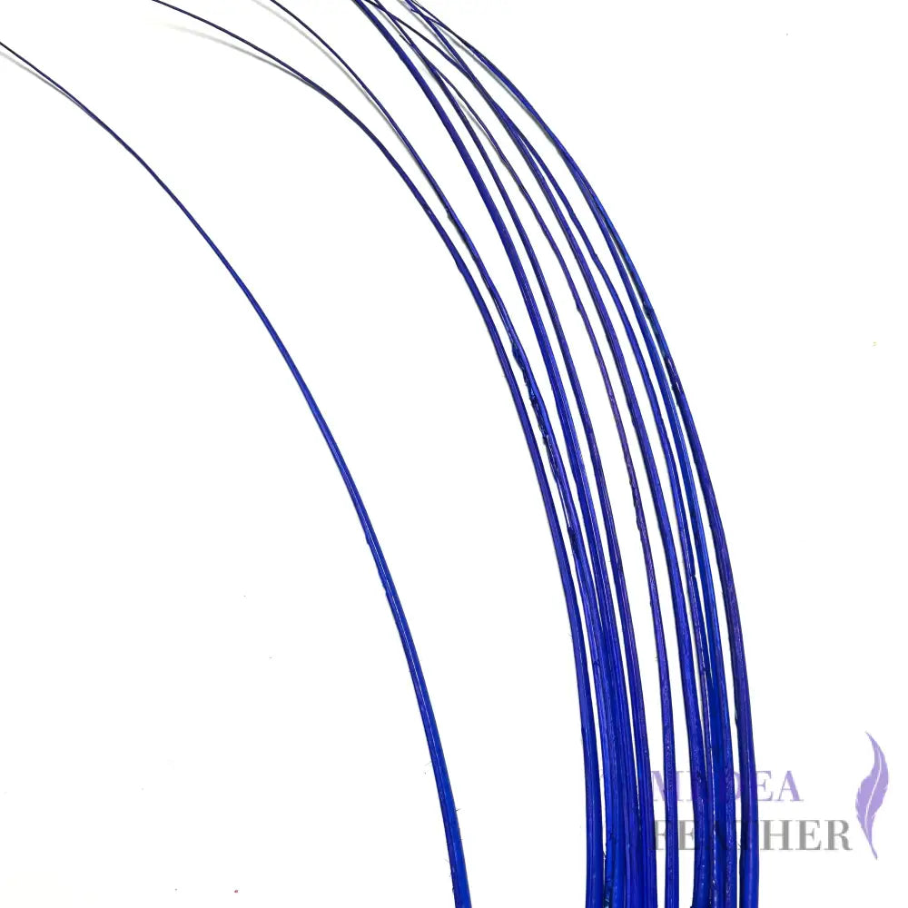 Stripped Ostrich Quill Feather Royal blue / 1 piece ready-to-ship