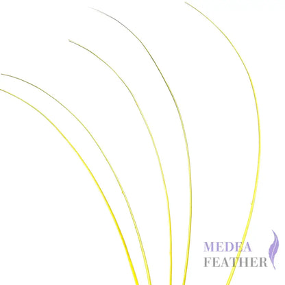 Stripped Ostrich Quill Feather Yellow / 1 piece ready-to-ship