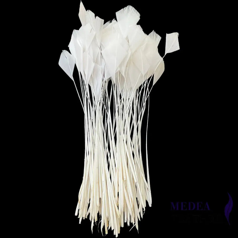 Stripped Turkey Feathers-Pack of 50 - #02 white