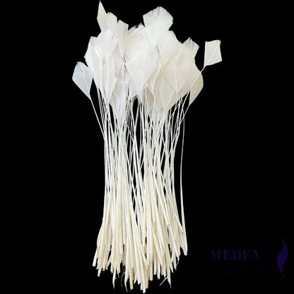 Stripped Turkey Feathers-Pack of 50 - #02 white