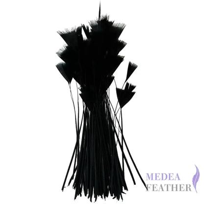 Stripped Turkey Feathers-Pack of 50 - #03black