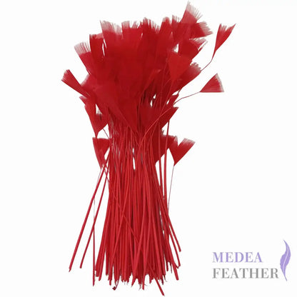 Stripped Turkey Feathers-Pack of 50 - #22 red