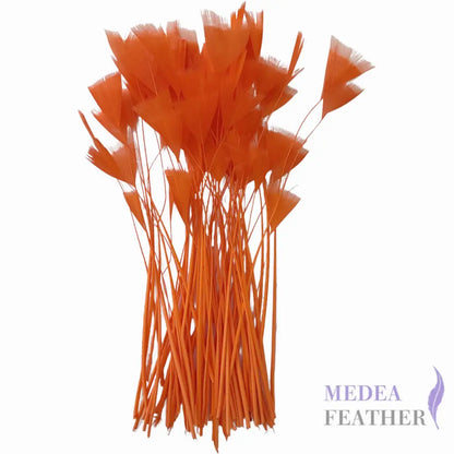 Stripped Turkey Feathers-Pack of 50 - #24 carrot