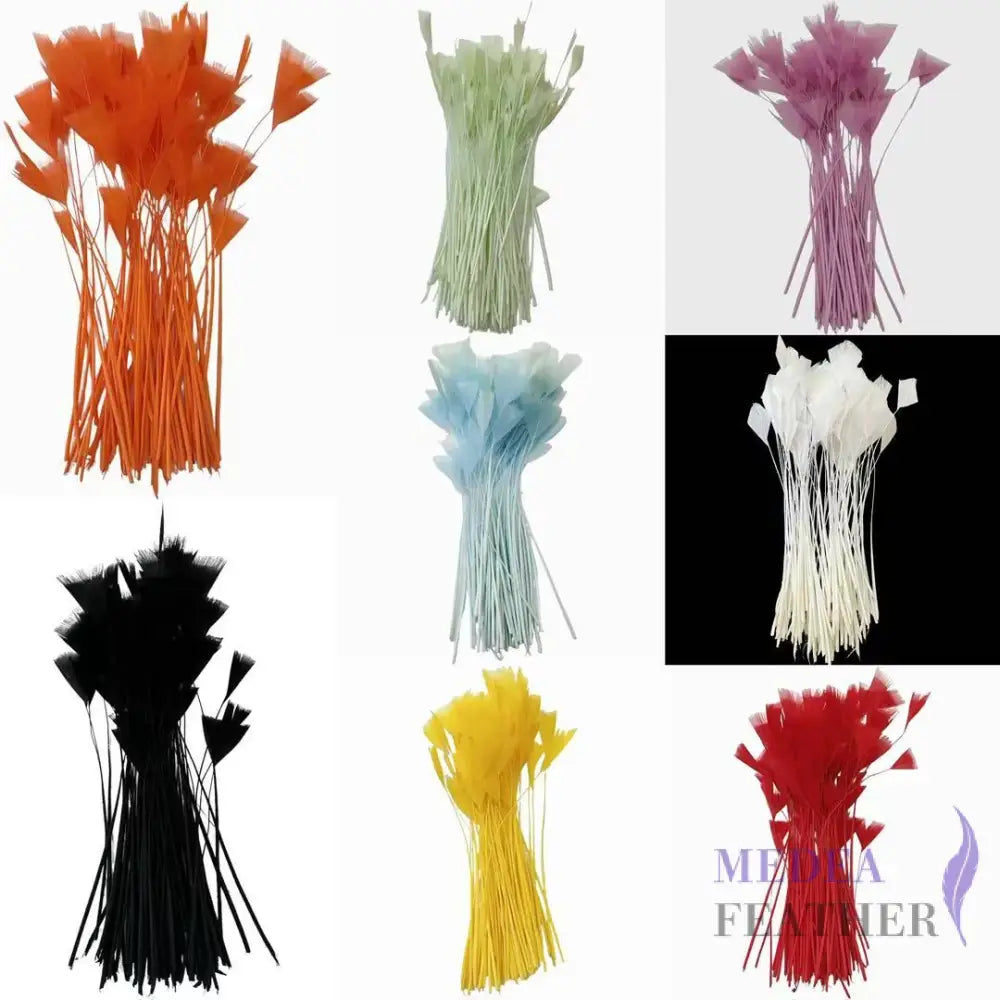 Stripped Turkey Feathers-Pack of 50