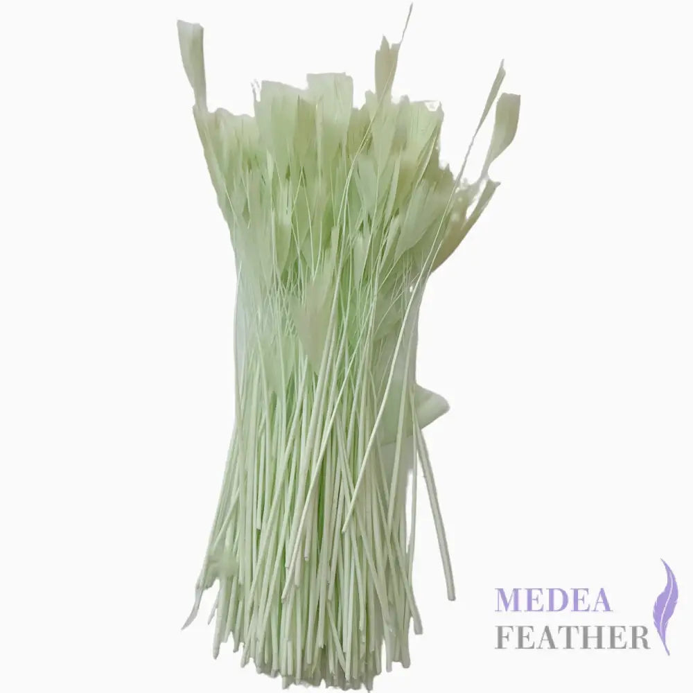 Stripped Turkey Feathers-Pack of 50 - #55mint