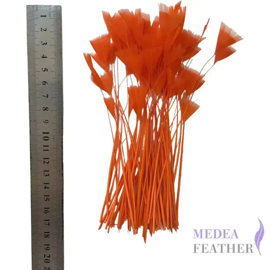 Stripped Turkey Feathers-Pack of 50