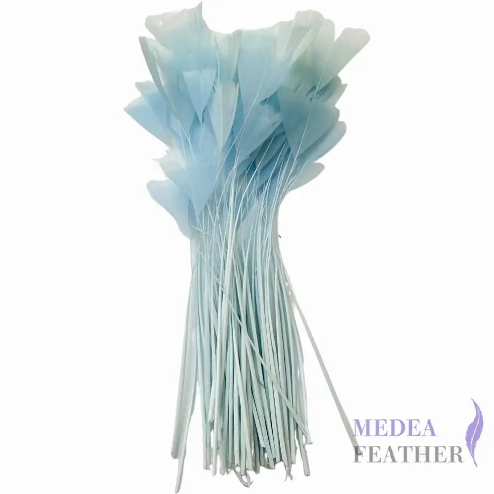 Stripped Turkey Feathers-Pack of 50 - #80baby blue