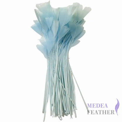 Stripped Turkey Feathers-Pack of 50 - #80baby blue