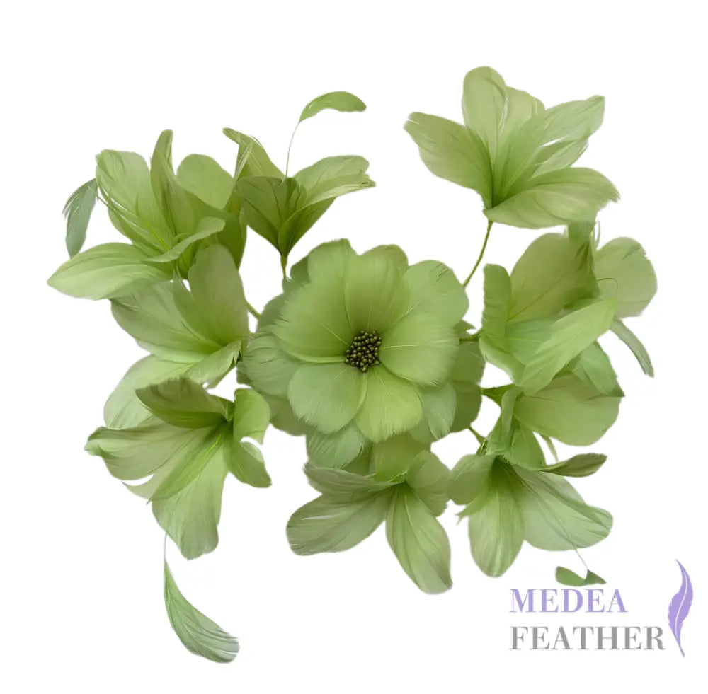 Surrounded Feather Flowers Set DS250606 #88 Green banana