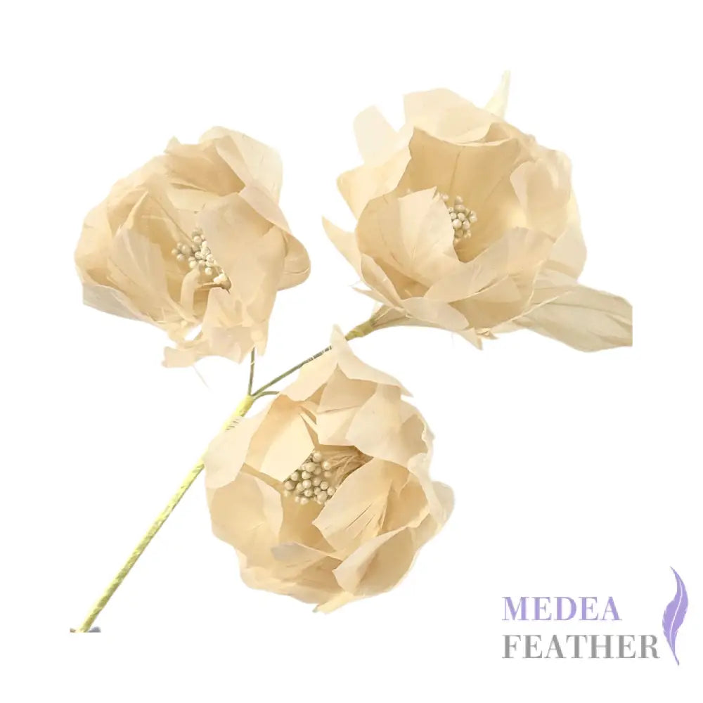 Three Goose Feather Flowers Set FM045 - #04 cream