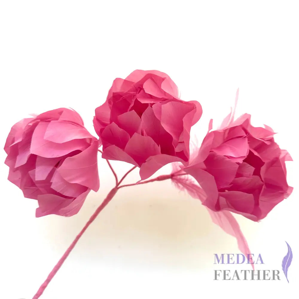 Three Goose Feather Flowers Set FM045 #94 begonia pink