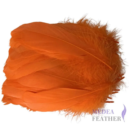 Soft Goose Feather-Pack of 50 SFGOOSE01 - #24 carrot