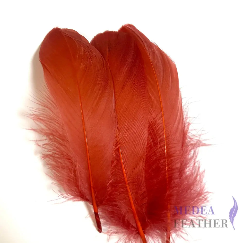 Trimmed Arrow Shape Soft Goose Feather-Pack of 20 SFGOOSE06
