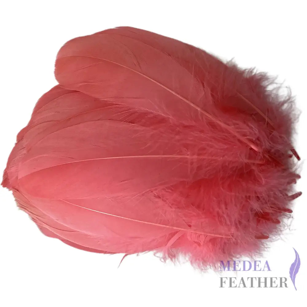 Soft Goose Feather-Pack of 50 SFGOOSE01 - #46 bloosom