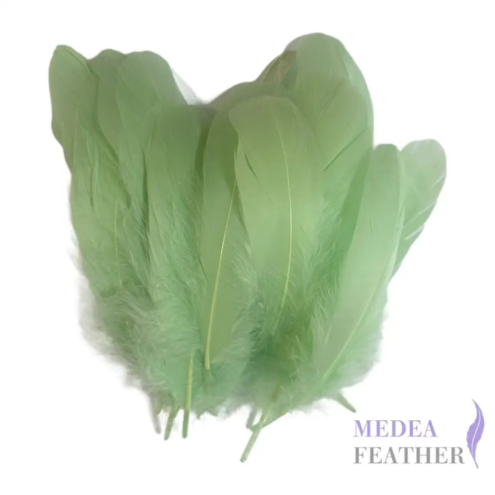 Soft Goose Feather-Pack of 50 SFGOOSE01 - #55 mint
