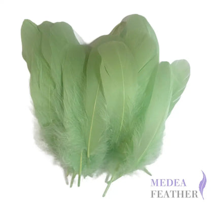Soft Goose Feather-Pack of 50 SFGOOSE01 - #55 mint