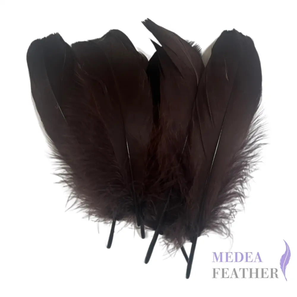 Soft Goose Feather-Pack of 50 SFGOOSE01 - #64 choco