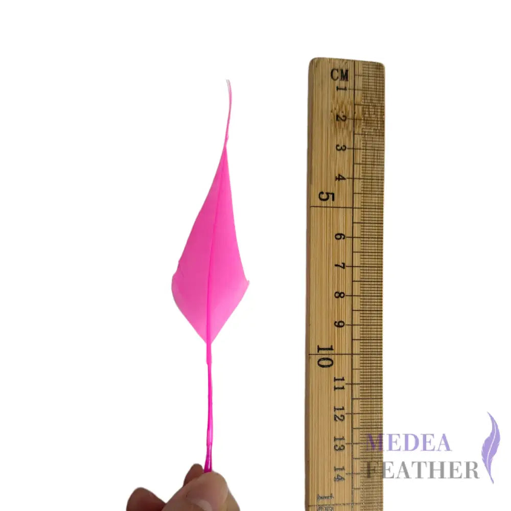 Spiky Soft Goose Feather-Pack of 20