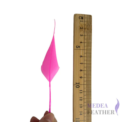 Spiky Soft Goose Feather-Pack of 20