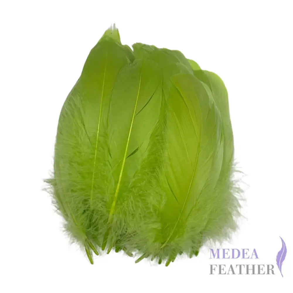 Trimmed Arrow Shape Soft Goose Feather-Pack of 20 SFGOOSE06 - #88 Green banana
