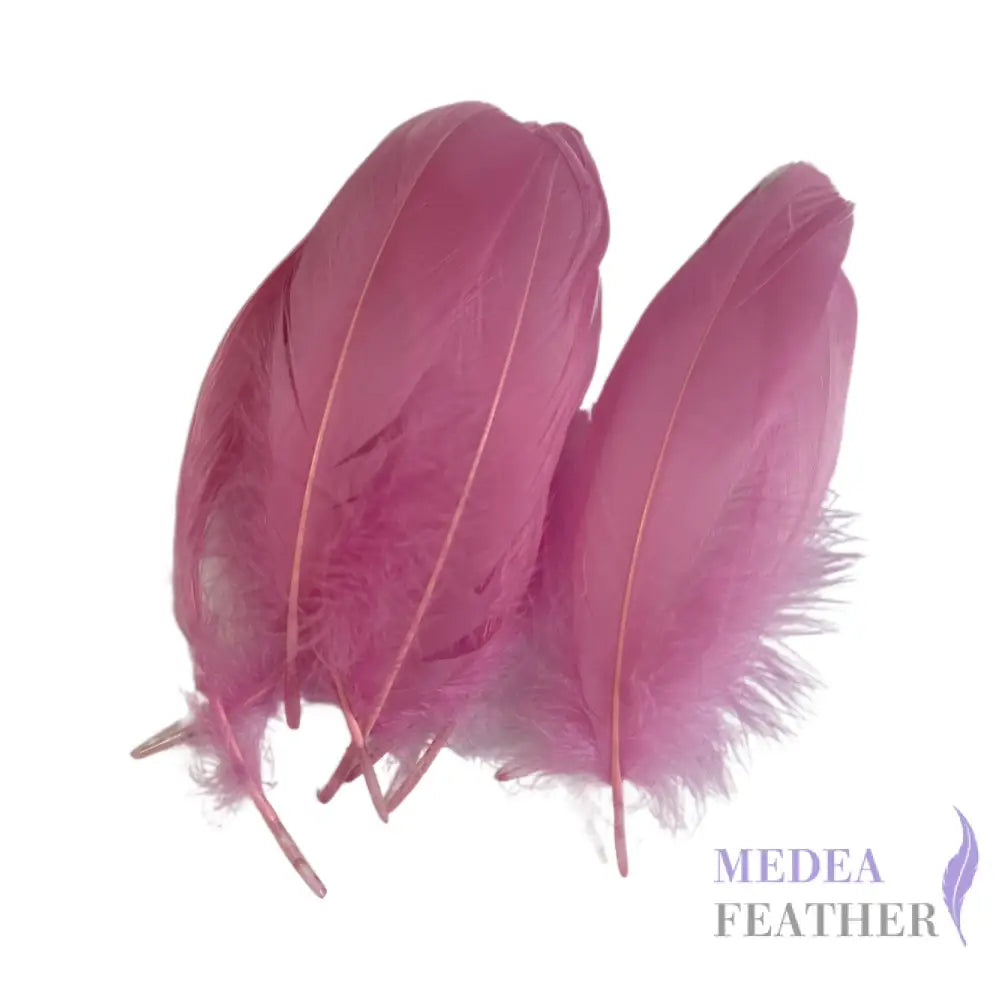 Soft Goose Feather-Pack of 50 SFGOOSE01 - #94 begonia pink
