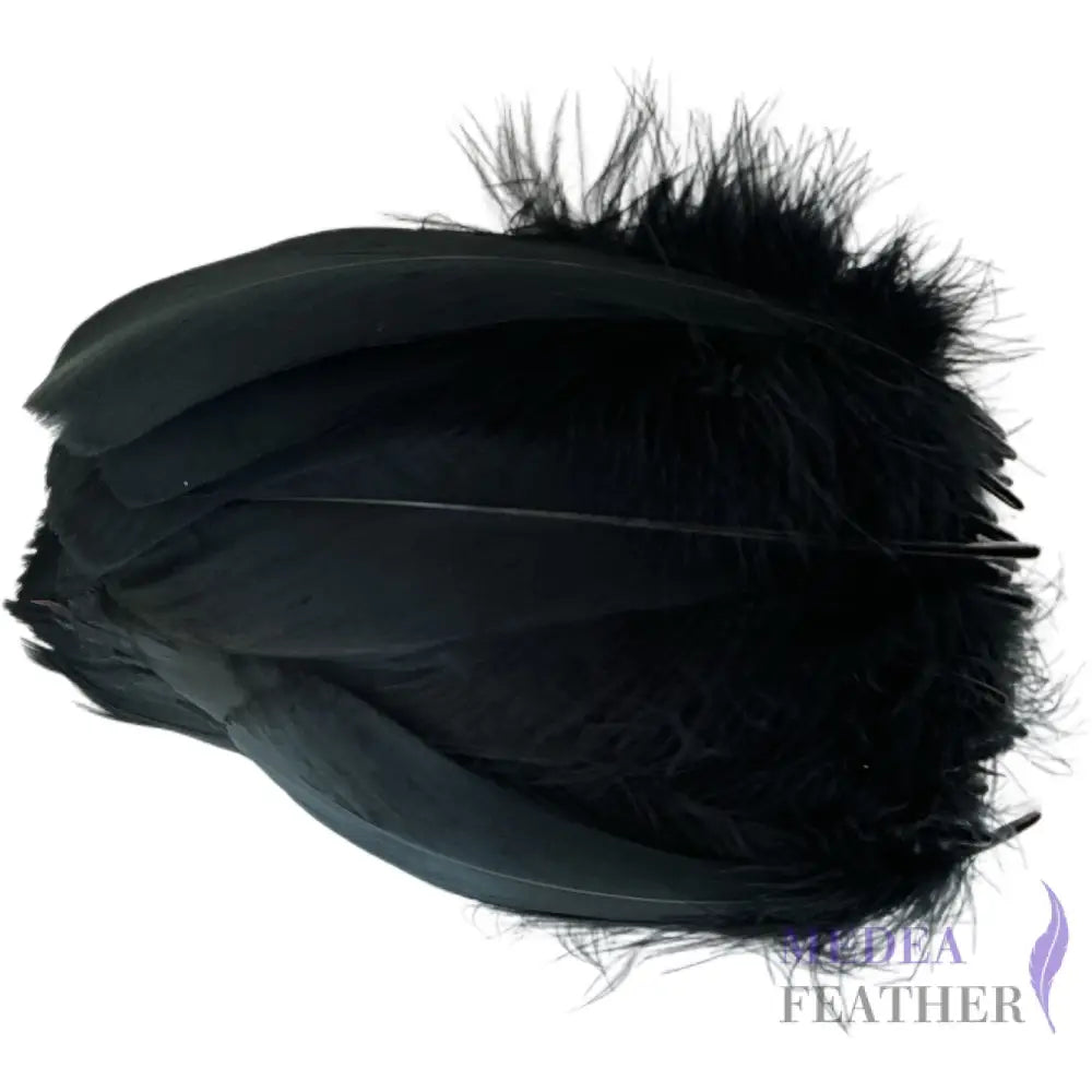 Soft Goose Feather-Pack of 50 SFGOOSE01 - #03 black