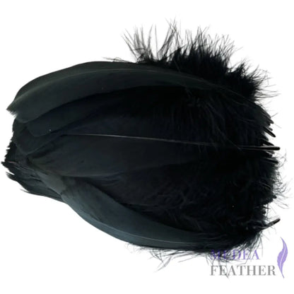 Soft Goose Feather-Pack of 50 SFGOOSE01 - #03 black