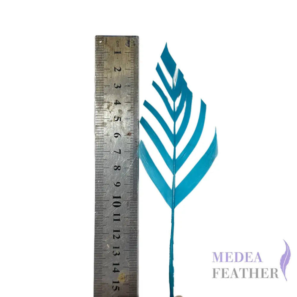 Trimmed Leaf Vein Shape Goose Feather-Pack of 20 SFGOOSE05