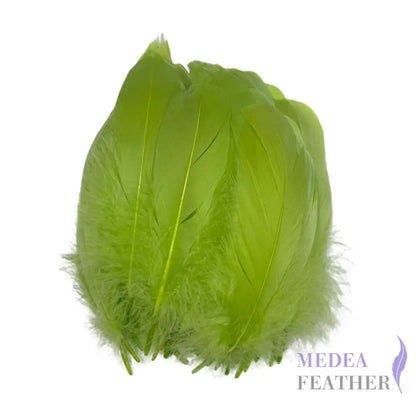 Trimmed Leaf Vein Shape Goose Feather-Pack of 20 SFGOOSE05 - #88 Green banana