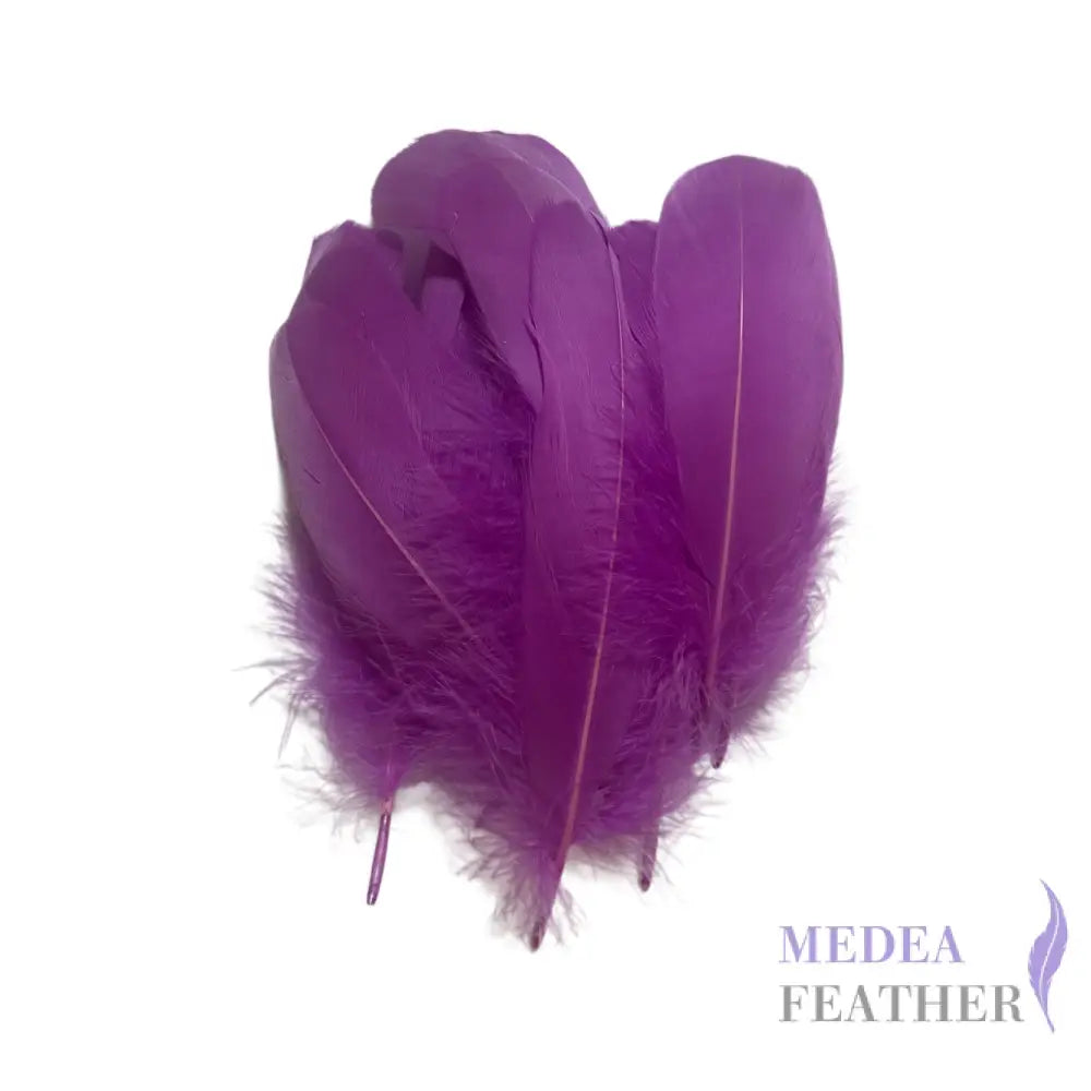 Soft Goose Feather-Pack of 50 SFGOOSE01 - #95 violet