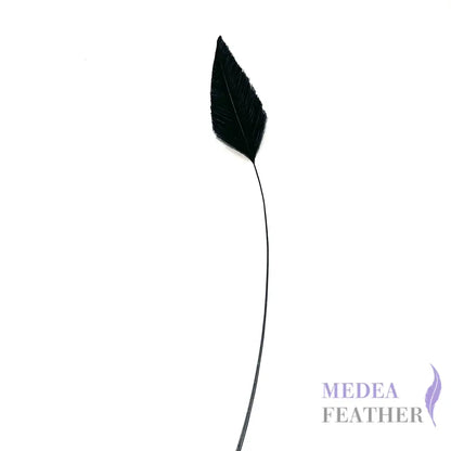 Trimmed Ostrich Feather - Pack of 2 15cm black arrow head style trimmed