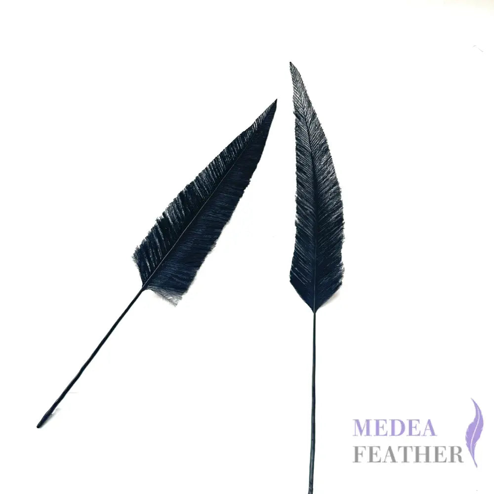 Trimmed Ostrich Feather - Pack of 2 22cm black tree style trimmed