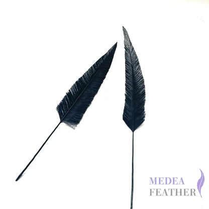 Trimmed Ostrich Feather - Pack of 2 22cm black tree style trimmed