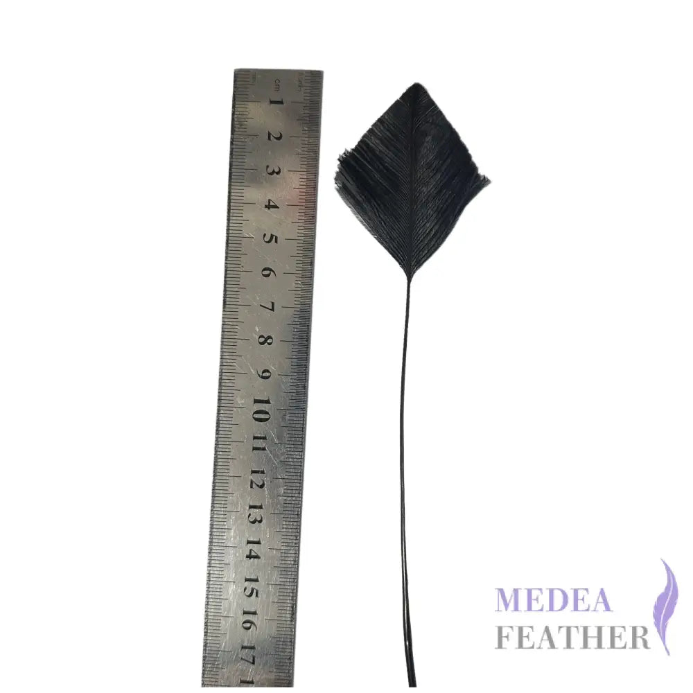 Trimmed Ostrich Feather-Pack of 2 - Style 1 black feather part 5cm