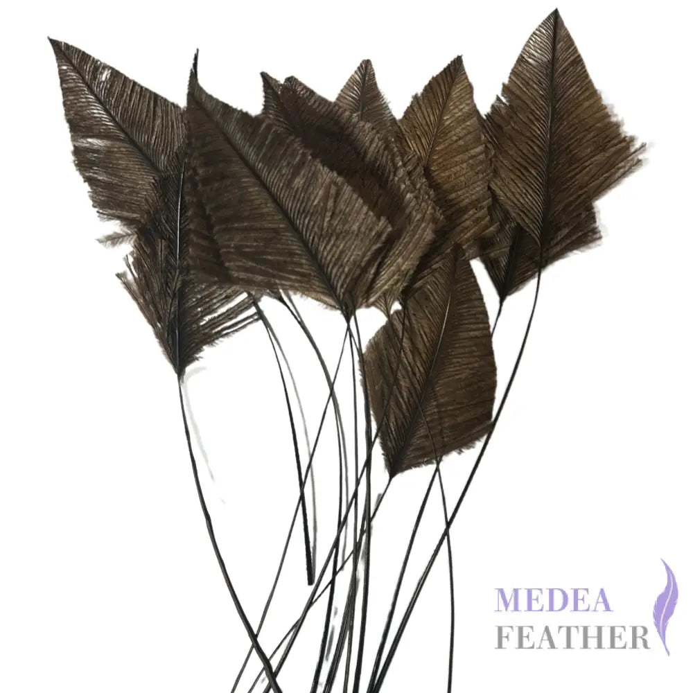 Trimmed Ostrich Feather-Pack of 2 - Style 1 brown feather part 5cm