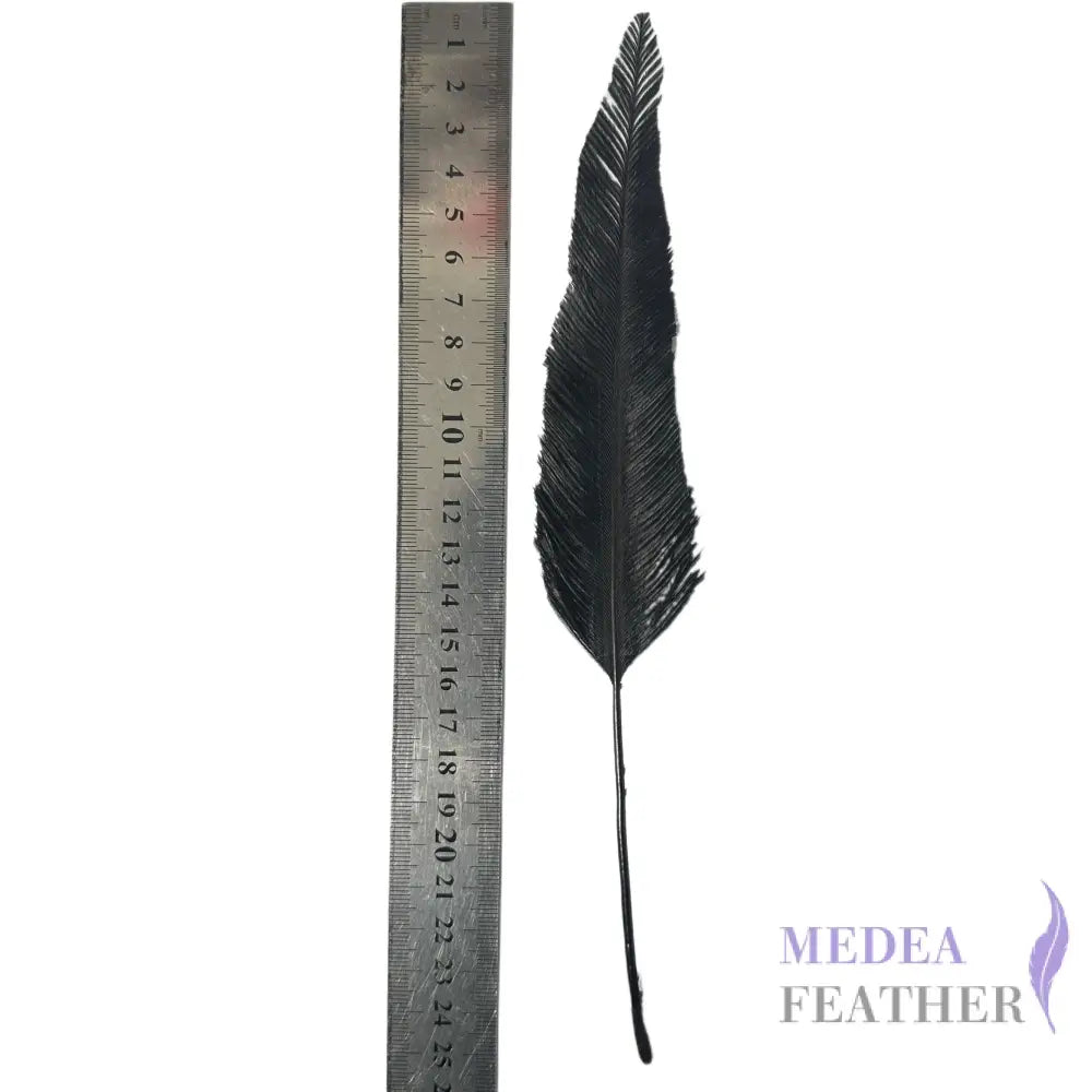 Trimmed Ostrich Feather-Pack of 2 - Style 3 feather part 16cm tree shape