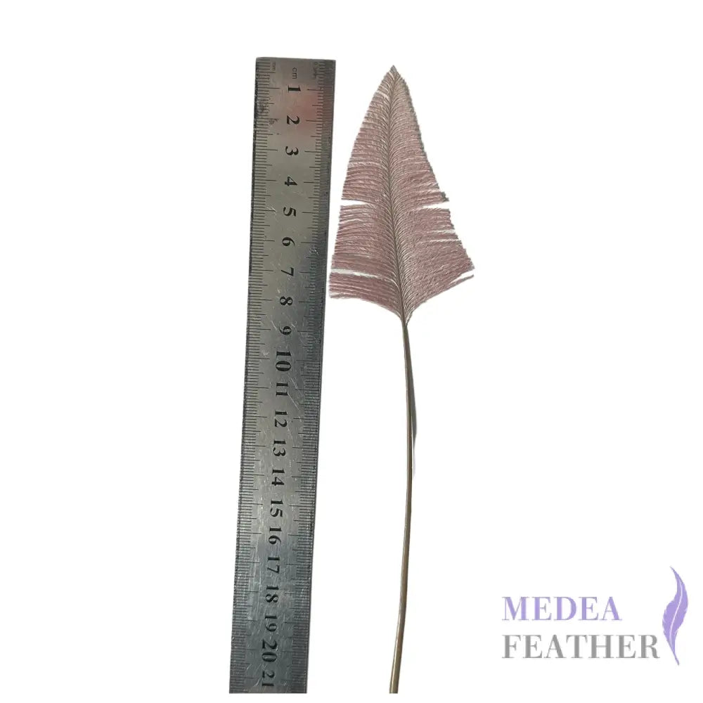 Trimmed Ostrich Feather-Pack of 2 - Style 2 dusty pink feather part 8cm