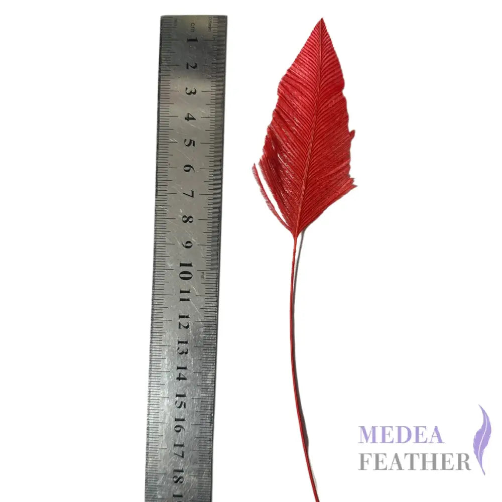 Trimmed Ostrich Feather-Pack of 2 - Style 2 red feather part 8cm