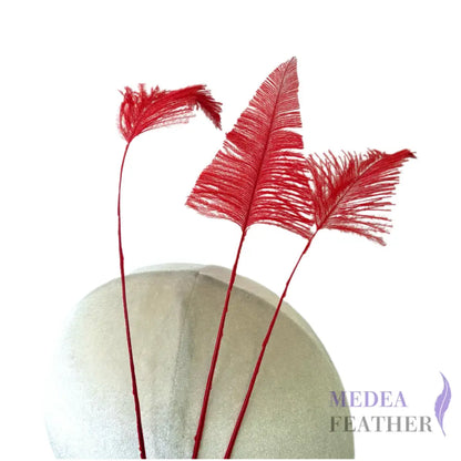 Trimmed Ostrich Feather-Pack of 3