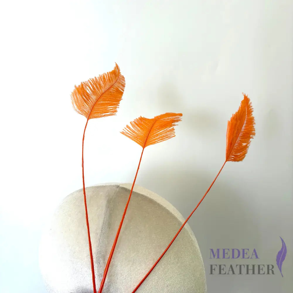 Trimmed Ostrich Feather-Pack of 3
