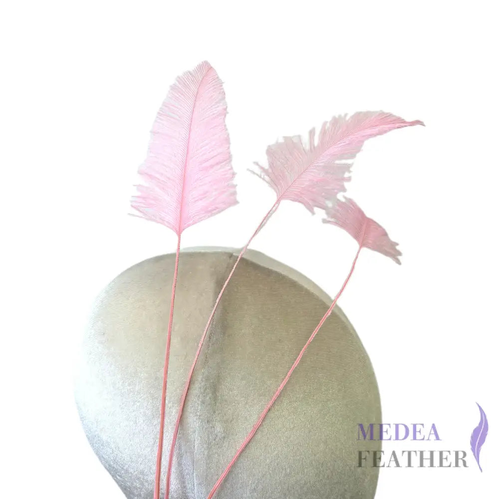 Trimmed Ostrich Feather-Pack of 3