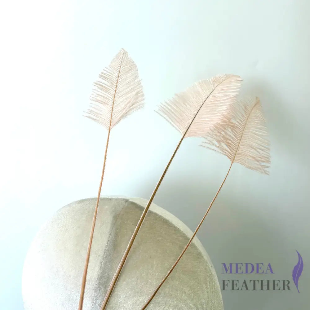 Trimmed Ostrich Feather-Pack of 3