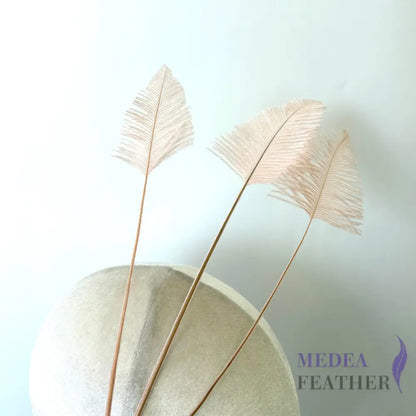 Trimmed Ostrich Feather-Pack of 3