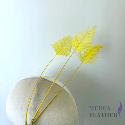 Trimmed Ostrich Feather-Pack of 3