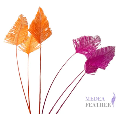 Trimmed Ostrich Feather-Pack of 3