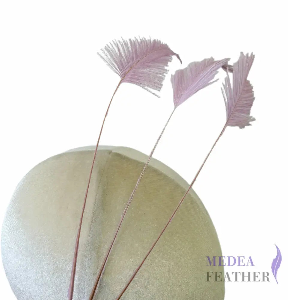Trimmed Ostrich Feather-Pack of 3